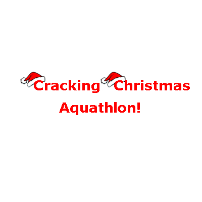GO TRI Cracking Christmas Aquathlon!